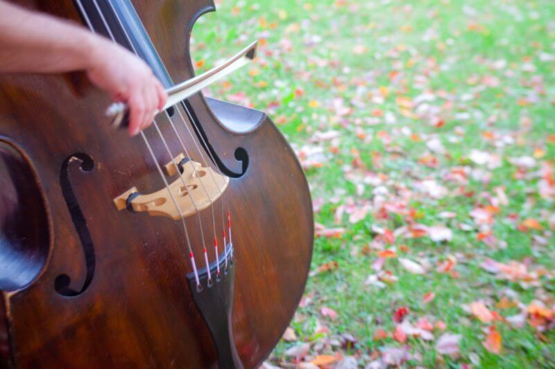 string orchestra gems cello